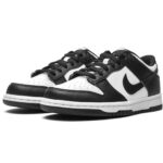 Nike Dunk Low Post